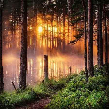 دانلود آهنگ شب میشه مرتضی خسروی